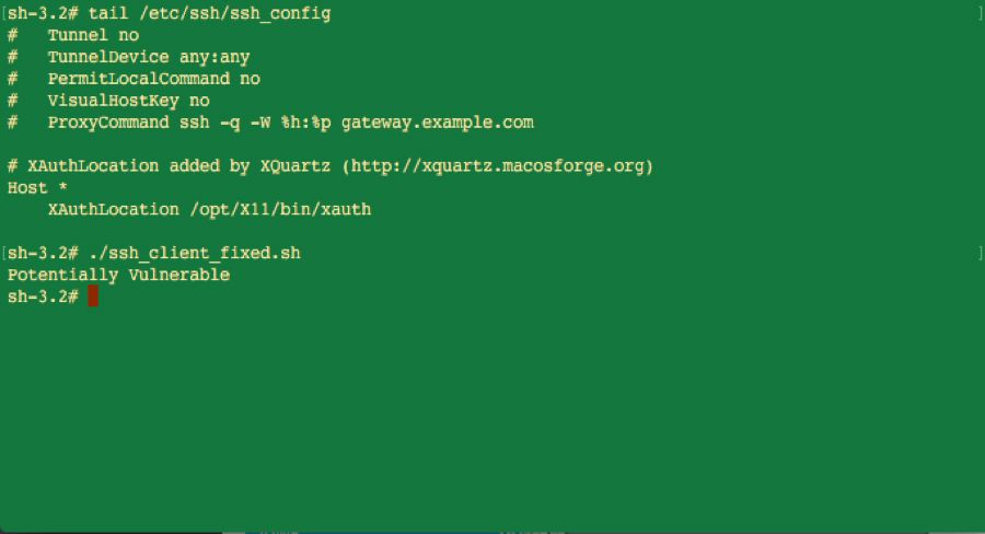 Salida del terminal que muestra los resultados de la revisión de la configuración de SSH y de la detección de vulnerabilidades