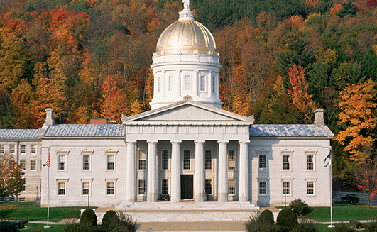 Cómo el Estado de Vermont reduce su riesgo de TI con el Panel de Control de Riesgos
