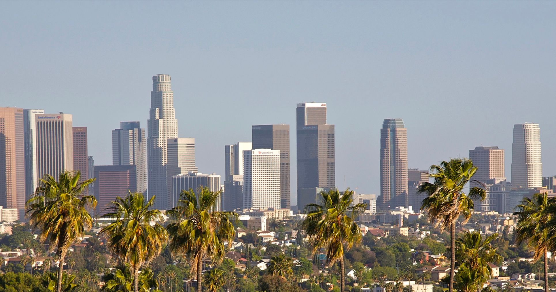 Foto de una fila de palmeras, con el horizonte del centro de Los Ángeles en la distancia.