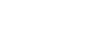 Pointwire logo white