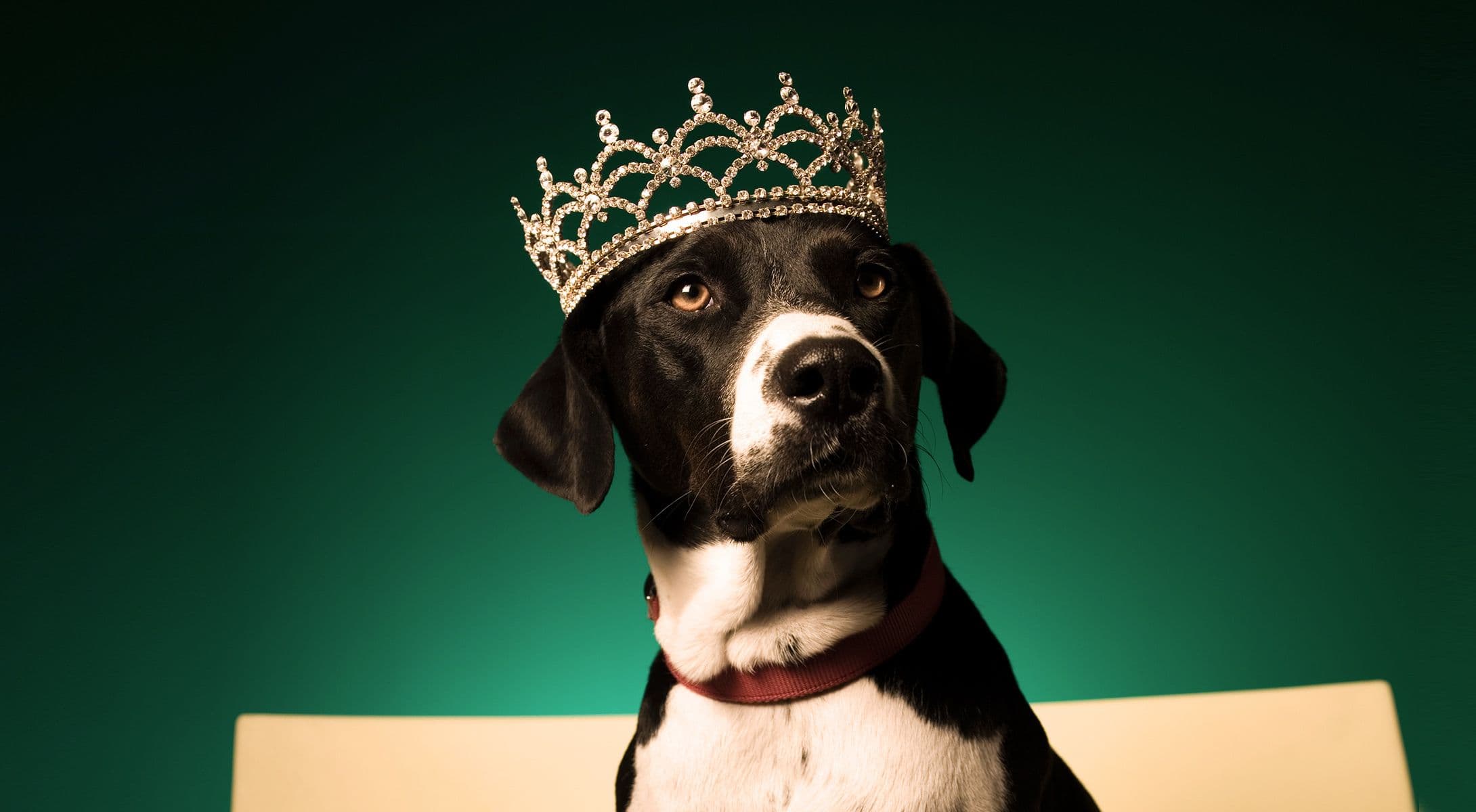 5 Pasos para proteger las "joyas de la corona" de datos de su organización