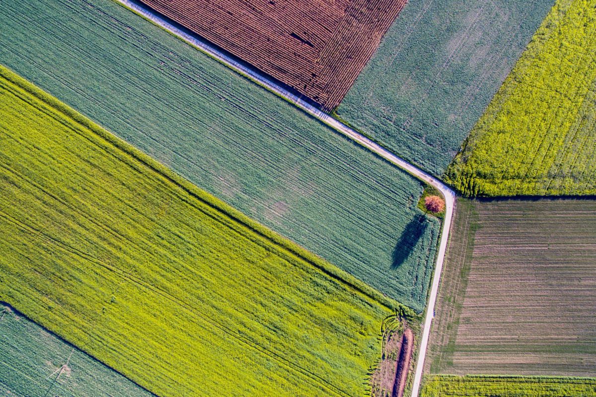 Vista aérea de coloridos campos agrícolas con hileras de cultivos