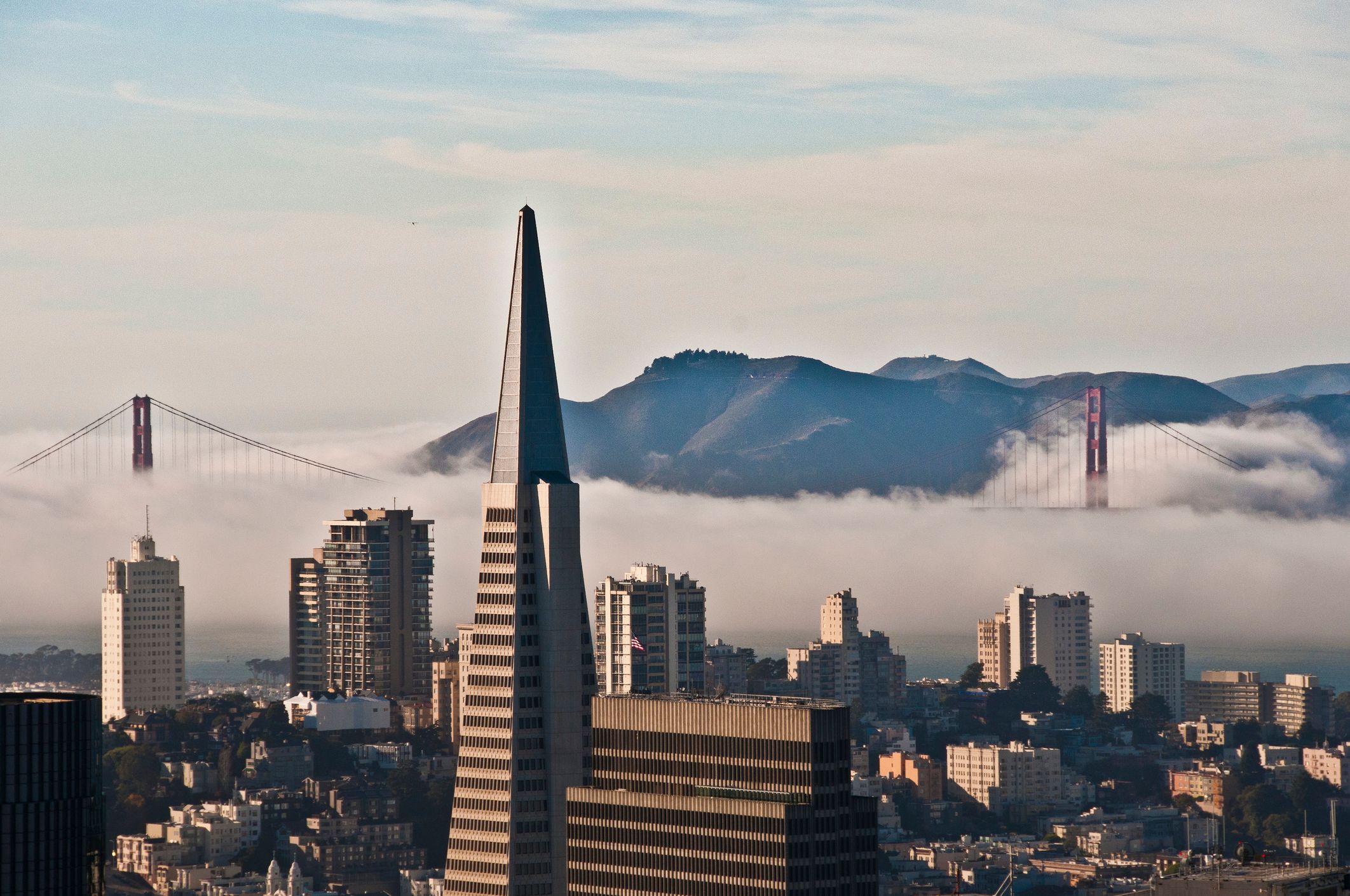 Una foto del horizonte de San Francisco, con la torre Transamerica Pyramid en primer plano y el puente Golden Gate asomándose entre la niebla al fondo.